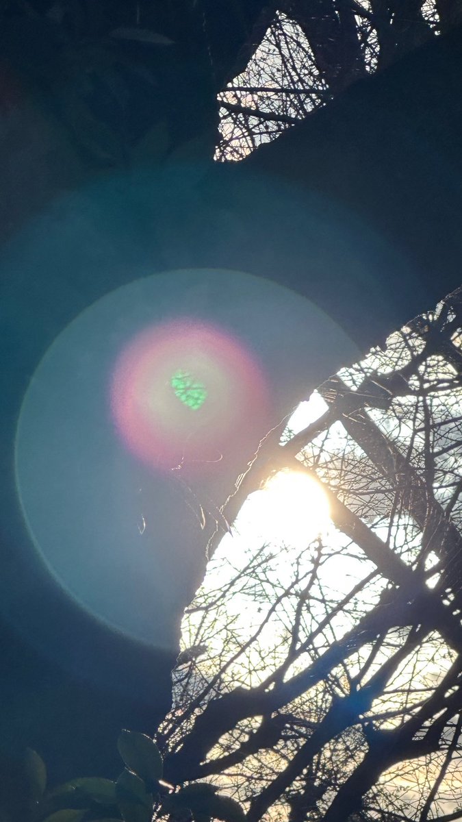 op (@op1179922537397) / Posts / X