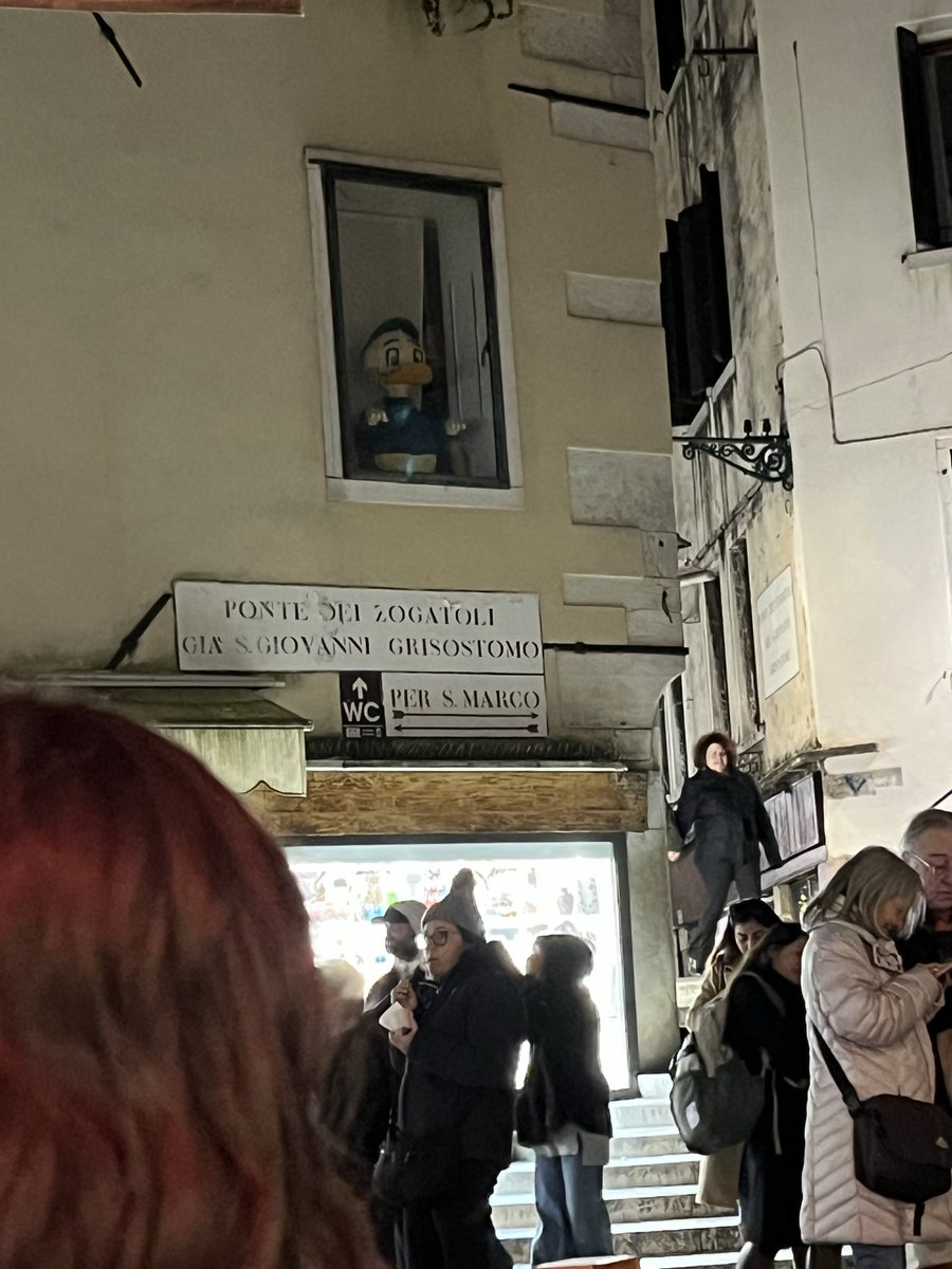 payaperdidaenpolonia tweet media