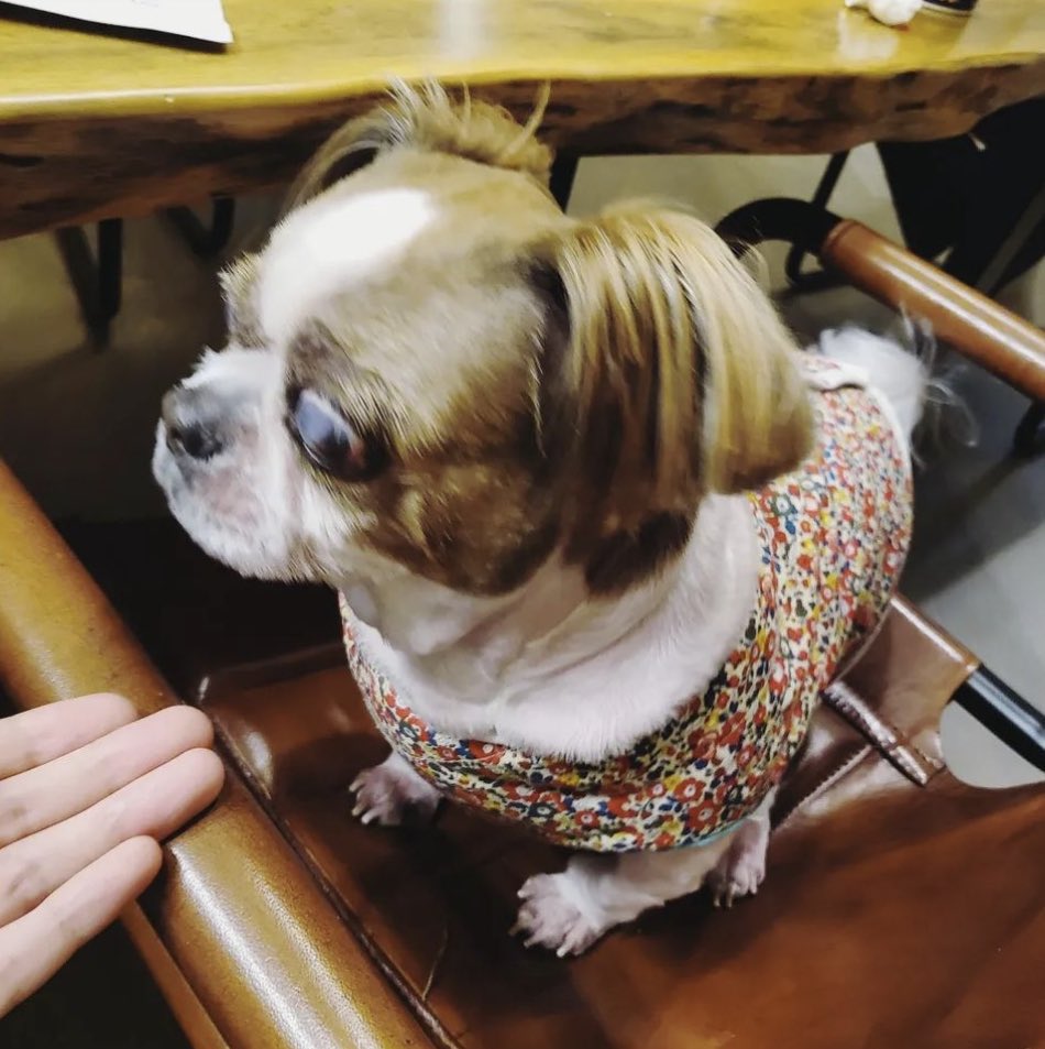 220217 uarmyhope Instagram

“HOMETOWN”