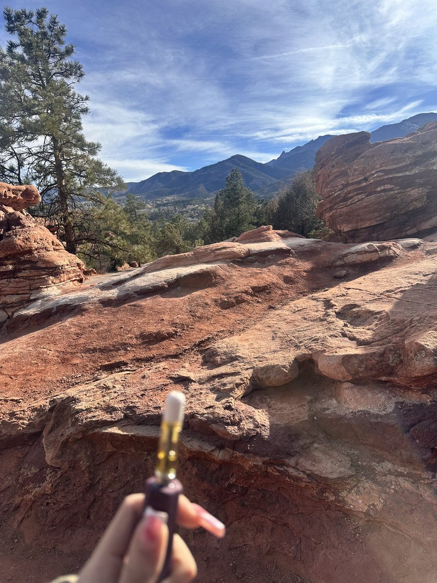 ketamizedkitty's tweet image. #slay