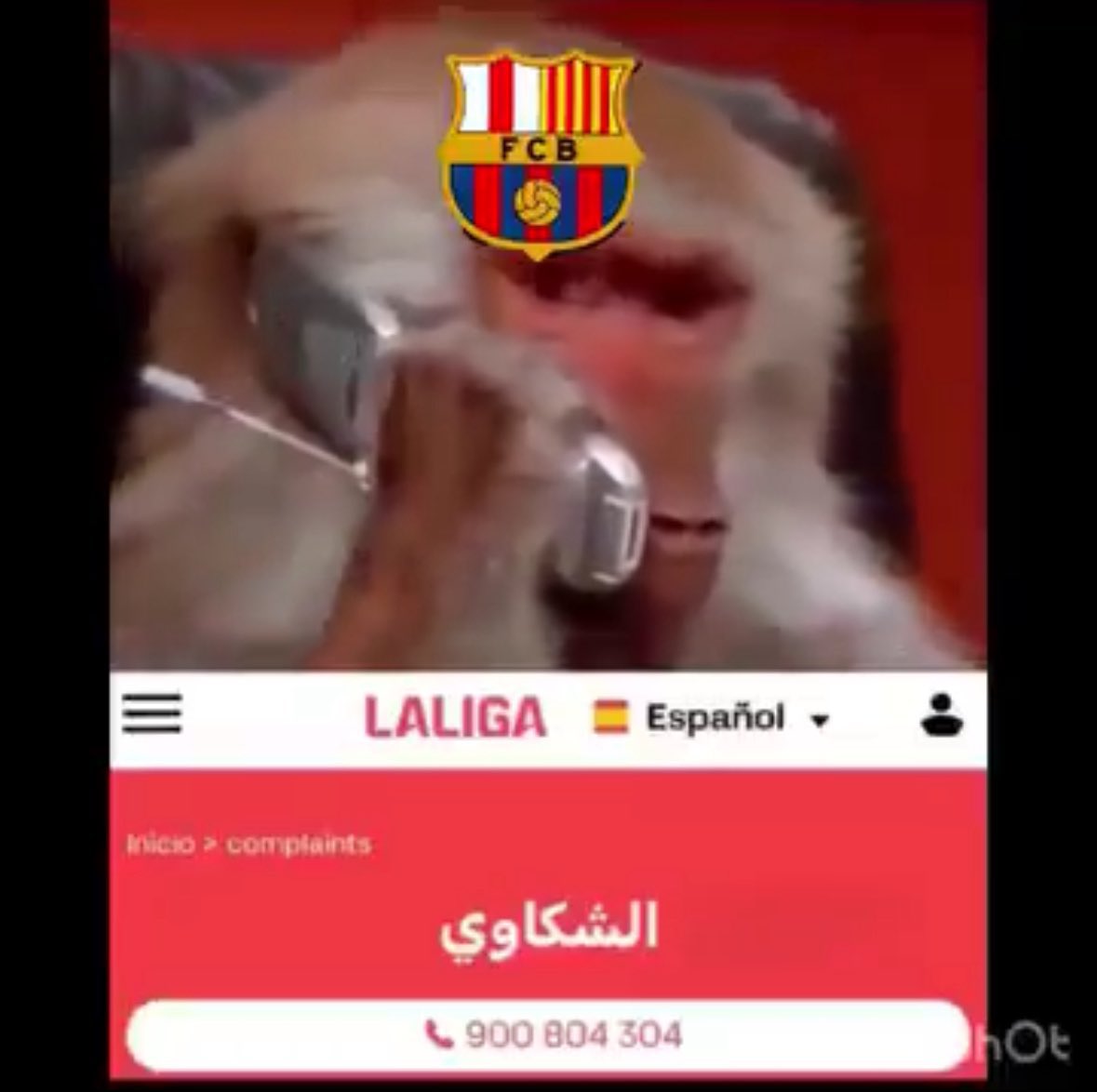 🫧Sou⁷🫧🇵🇸 tweet media