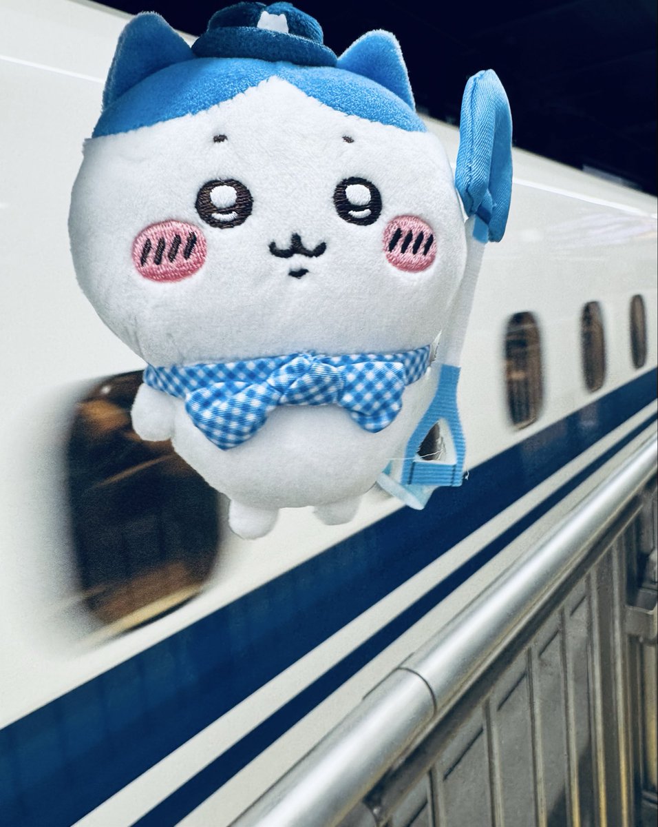 RT @miagawa0410: ハチワレちゃん名古屋行こみゃぁ🐱🐾ワレちゃんは