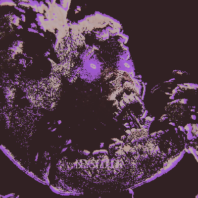 springjaw's tweet photo. https://t.co/24c3HY9WRB