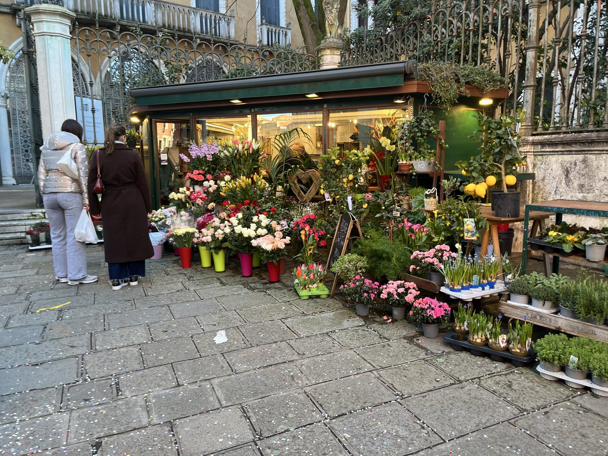 payaperdidaenpolonia tweet media