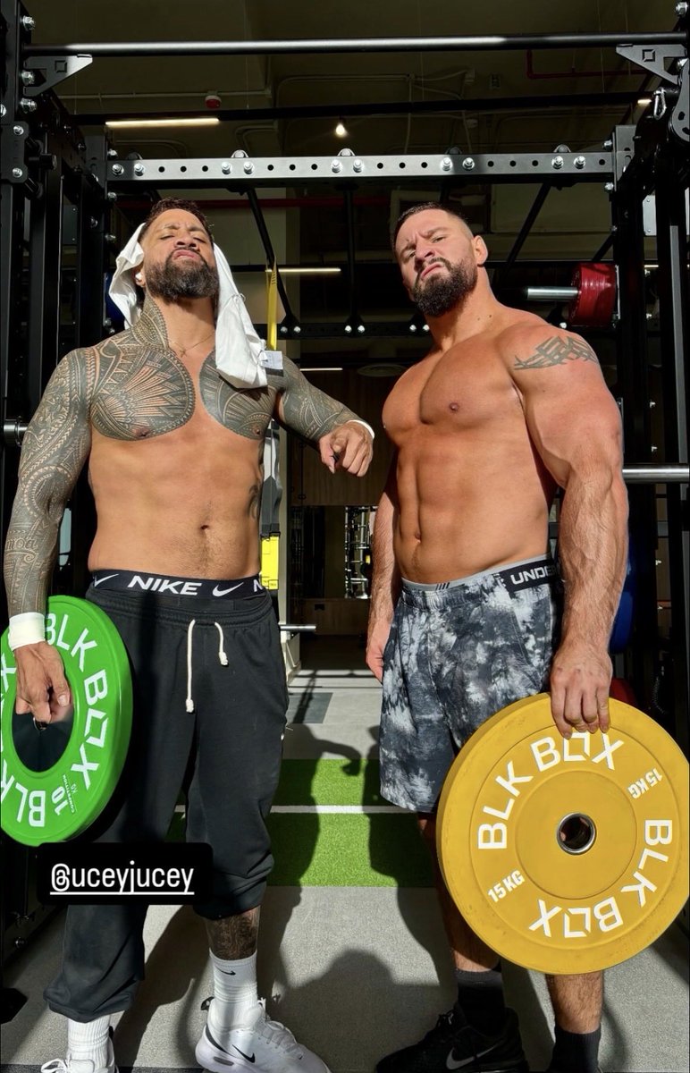 Man’s worst friend. 〢 NOT @bronbreakkerwwe tweet media