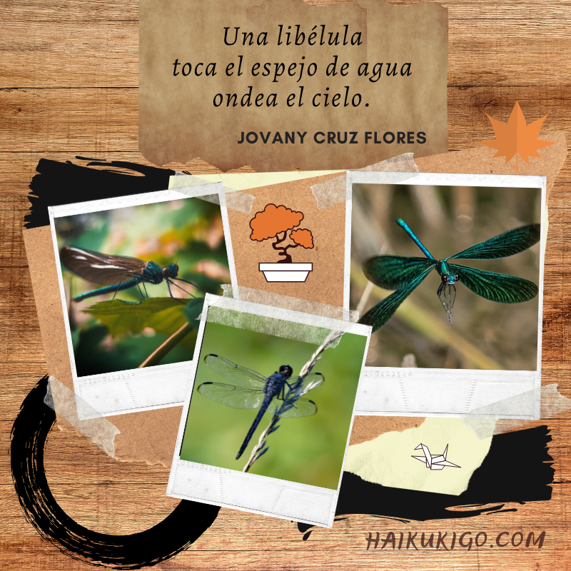 Haikukigo.com tweet media