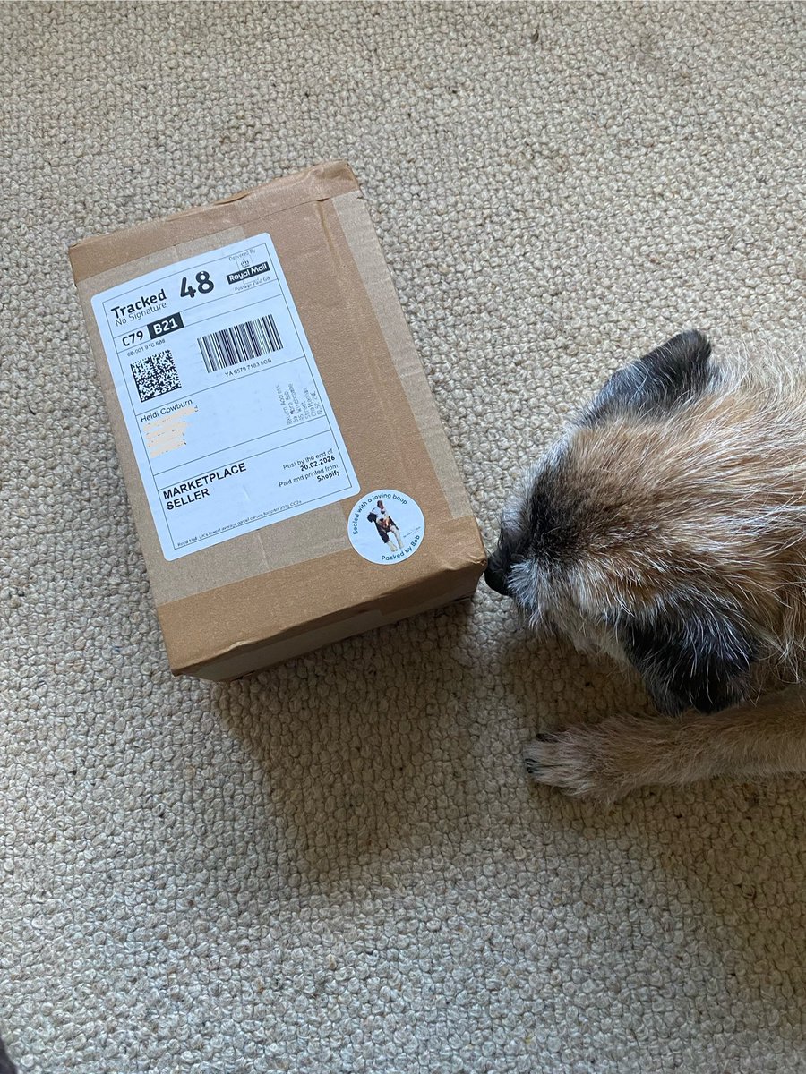 🌈HeidiBT3 Lady caikey member of de house of woofs tweet media