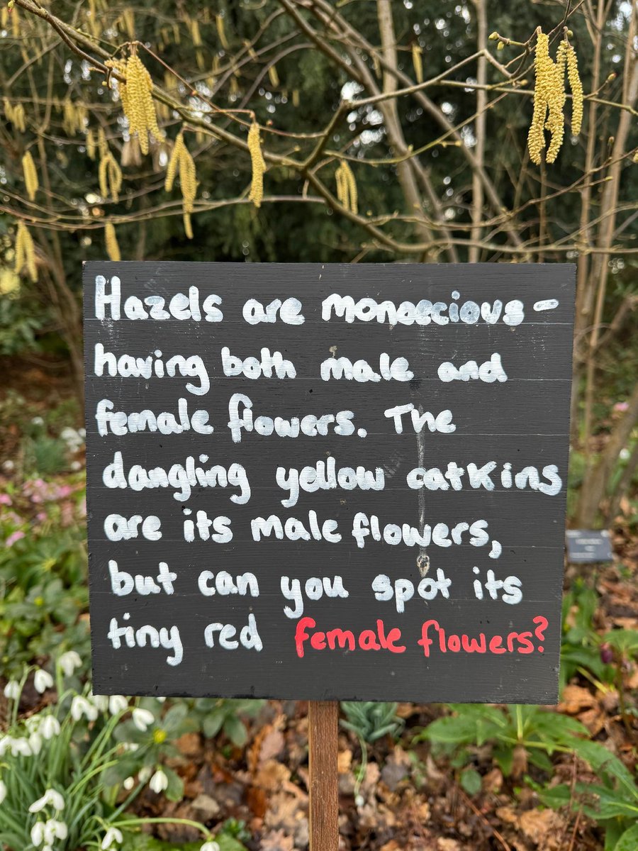 Cam Botanic Garden tweet media