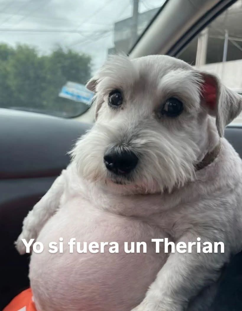 angelo_uf's tweet image. 