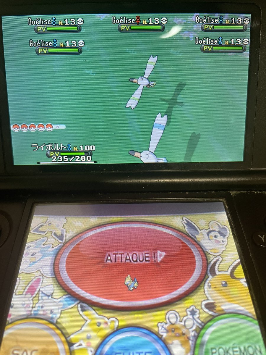 22 hordes pour conclure cette phase 1 pour Wattouat. Pas de chance de phaser directement mais Goélise était mon premier shiny il y a 11 ans, ça me rend nostalgique ! <a href="/TheHolomovement/">Holo</a> <a href="/NauziraTv/">Nauzira</a> <a href="/fali_nyah/">Falinyah</a>