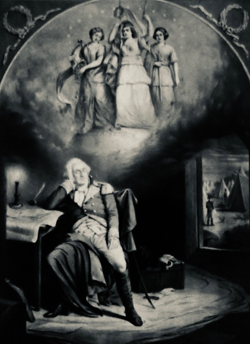 Selena Fox tweet media