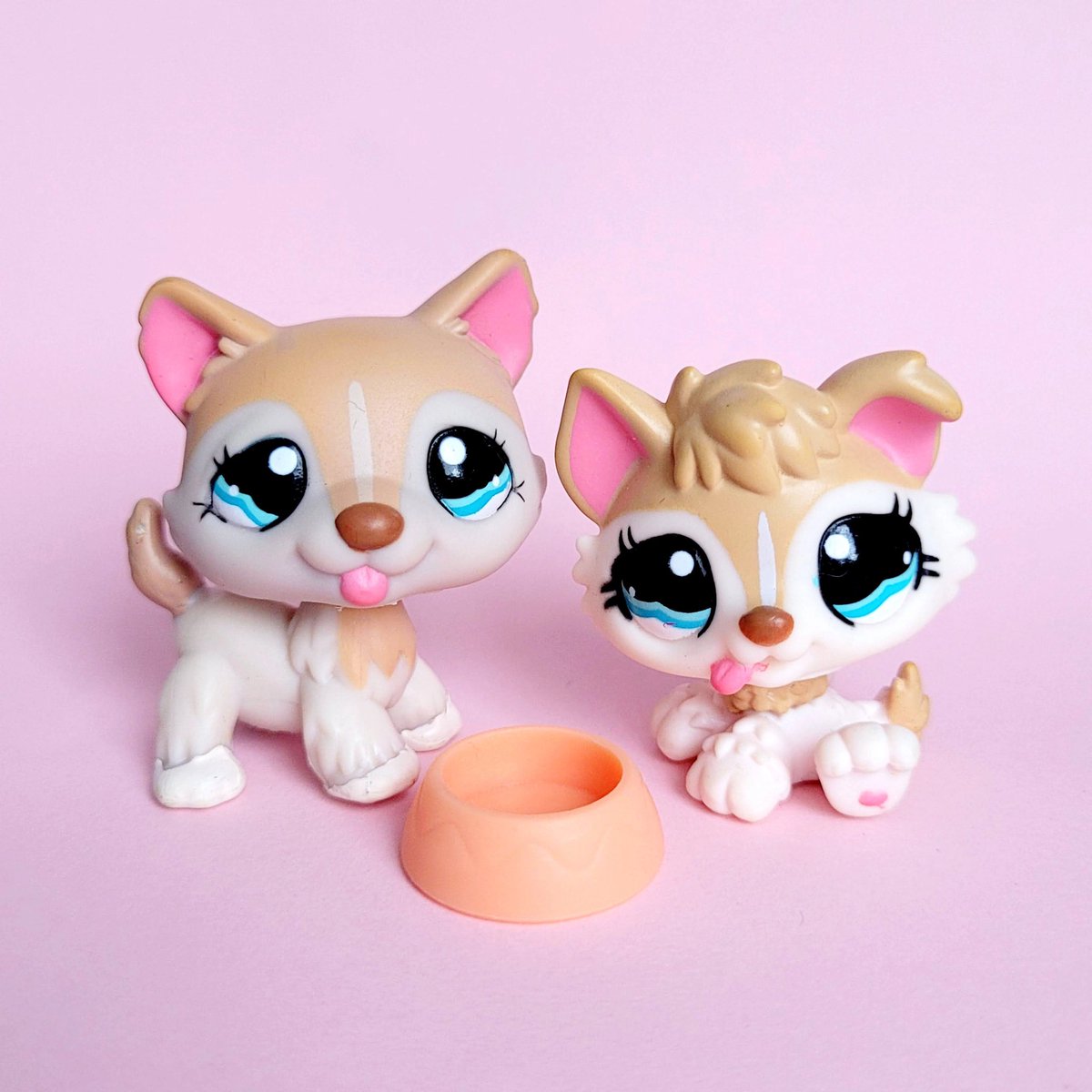 Sugar 🍭(•⩊• っ)3 tweet media