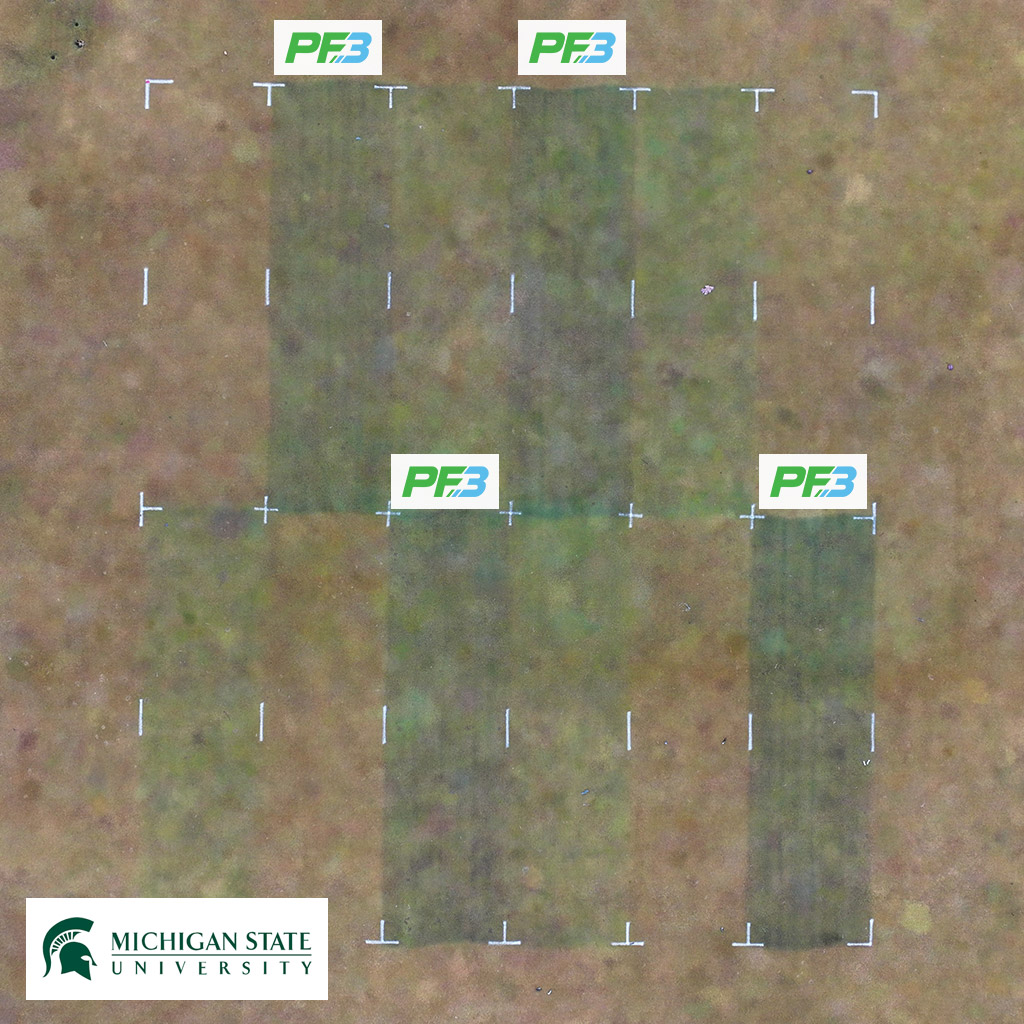 🌱💪 Plant Fitness® tweet media