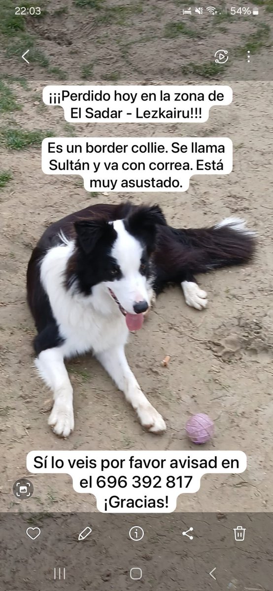 Me llamo Rubén (@putojambo) on Twitter photo 