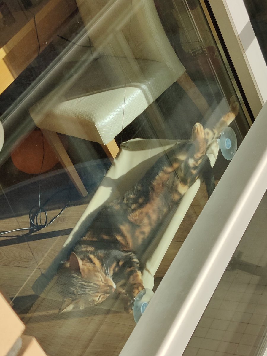 Вічно молодий tweet media