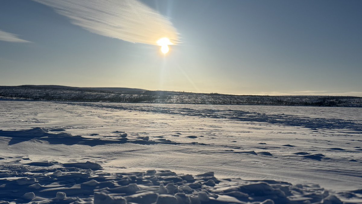 Mitchell Carkner tweet media