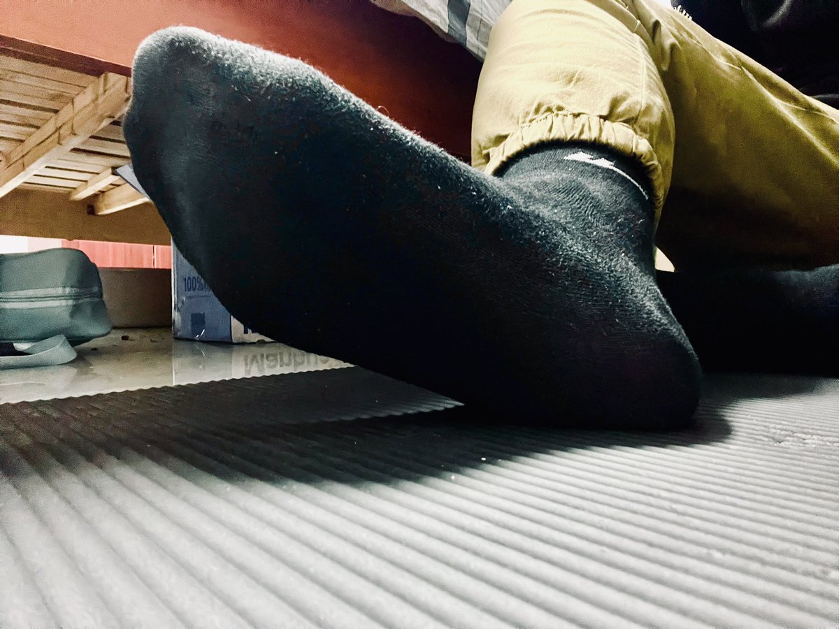 KingdomS tweet media