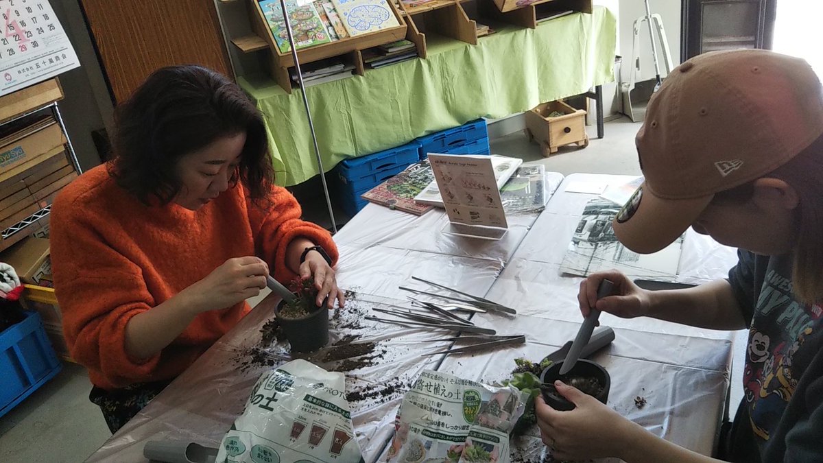 バレンタインデーの日に、まるでスイーツのようなカワイイセダム属の多肉植物を使って、寄せ植えワークショップを開催しました！

その第２回目を2/26(木)に開催します✨
うちで増やした、多肉植物を少々新たに追加の予定です🌱
育て方や種類の解説もすべて、レクチャーします！
