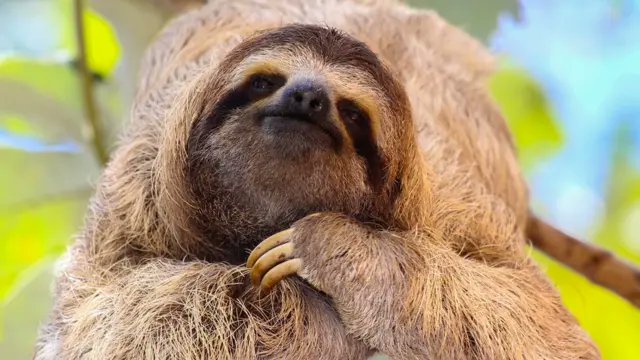 JuanSe Molina tweet media