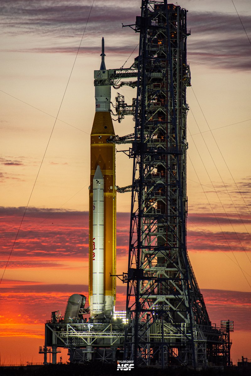 Tyler Gray tweet media