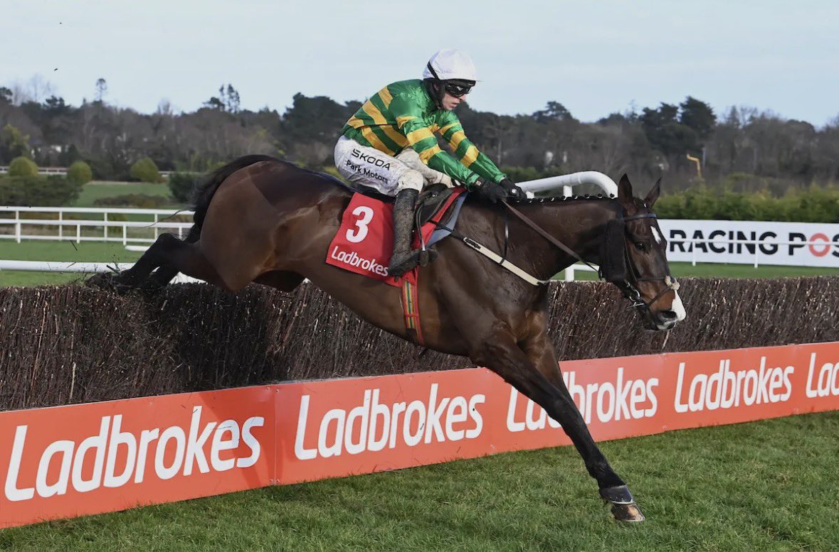 Owen🐎 tweet media