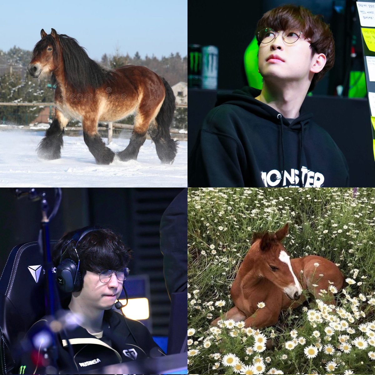 derellight's tweet photo. #DURULER — The Graceful Deutsch Draft Horse and The Clingy Golden Tabby Siberian Tiger
#Duro #듀로 #주민규 #Ruler #룰라 #박재혁 https://t.co/BpZYbMtoqc