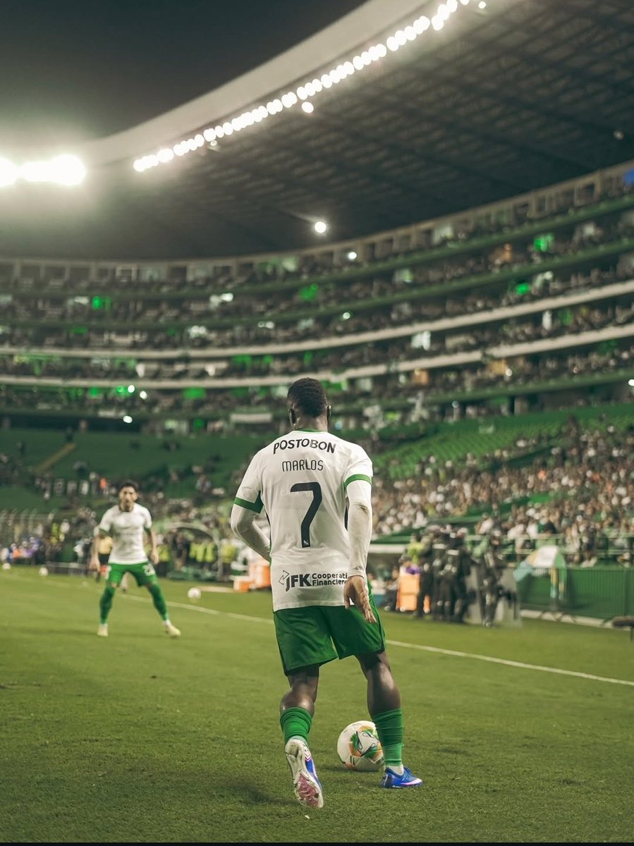 Tribu Verdolaga tweet media