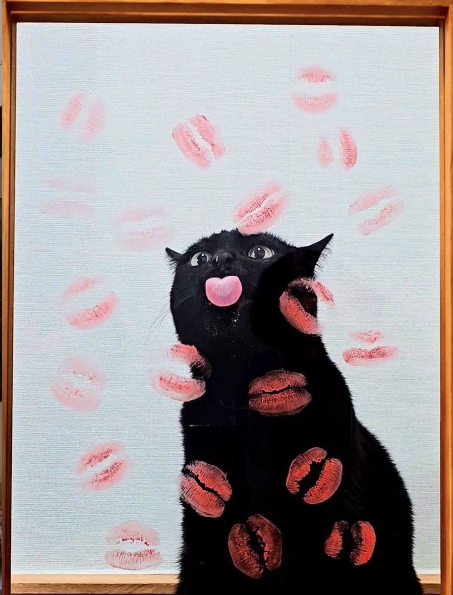 Black cats are not bad luck (@visualscat) on Twitter photo 