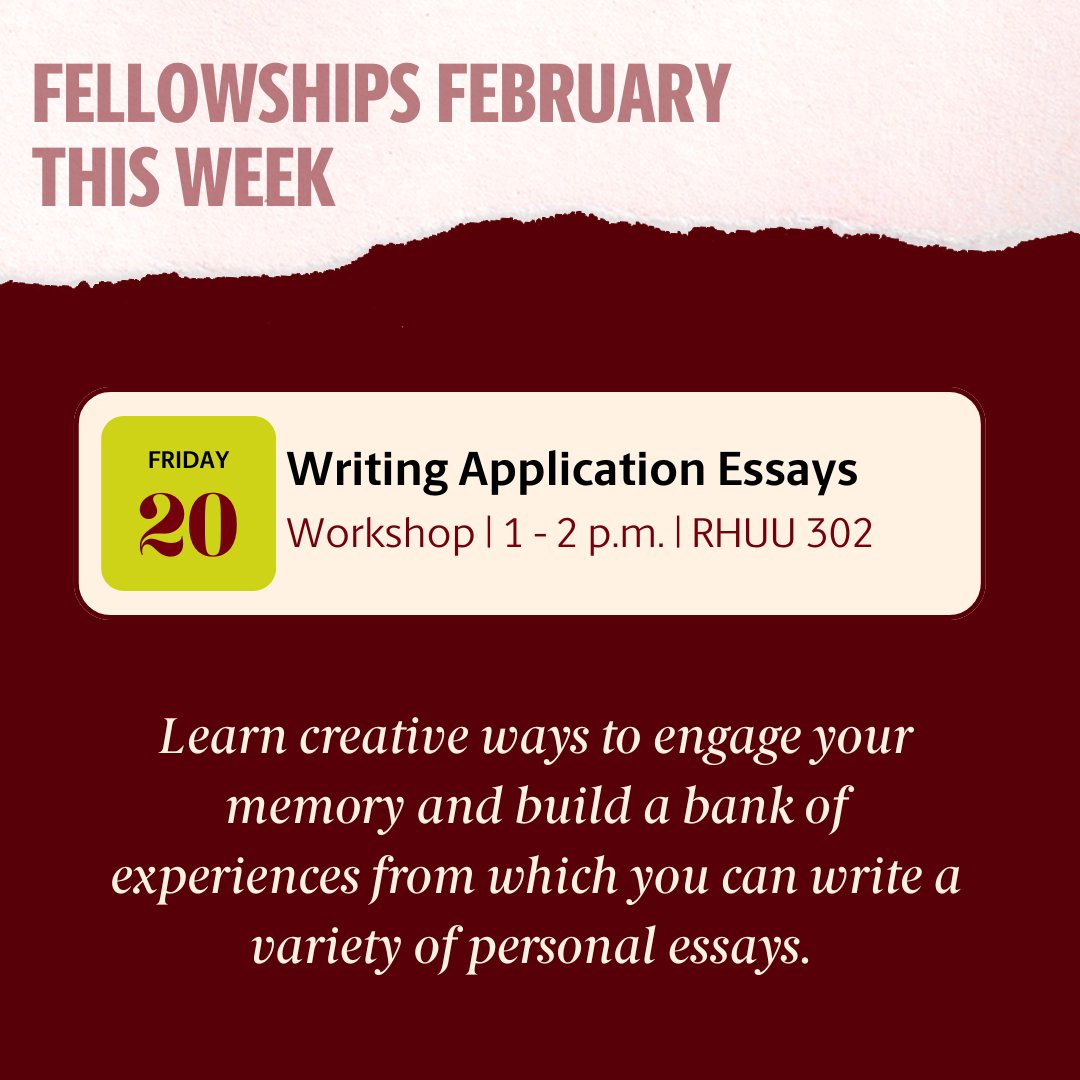 UofSC National Fellowships tweet media