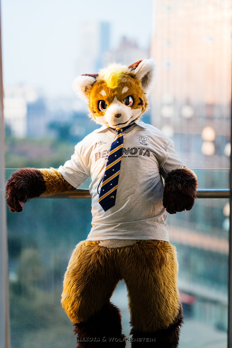 ネコタ@NEKOTA➡寺もふ (@hinekota) / Posts / X