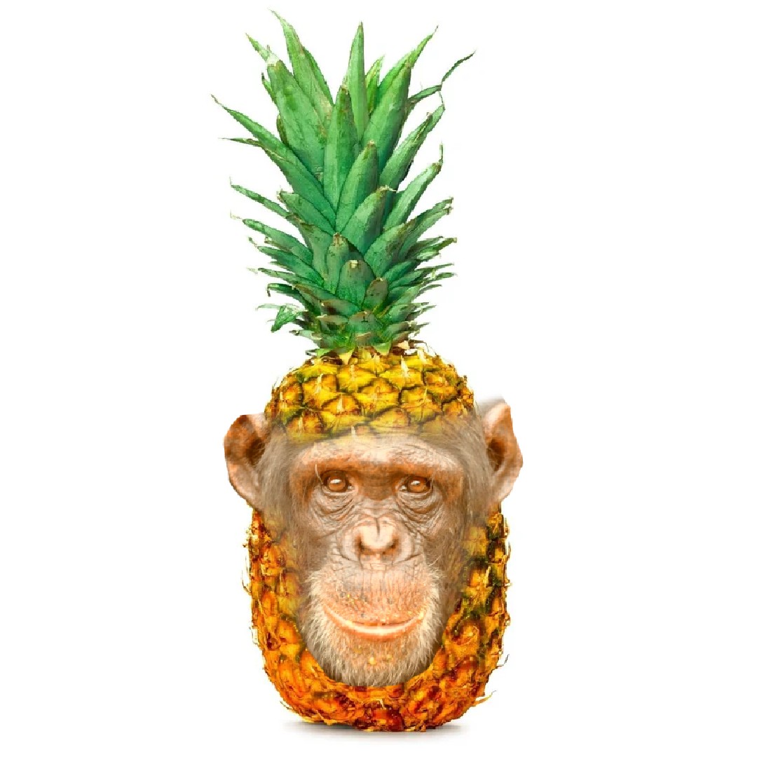 pineapple chimp tweet media