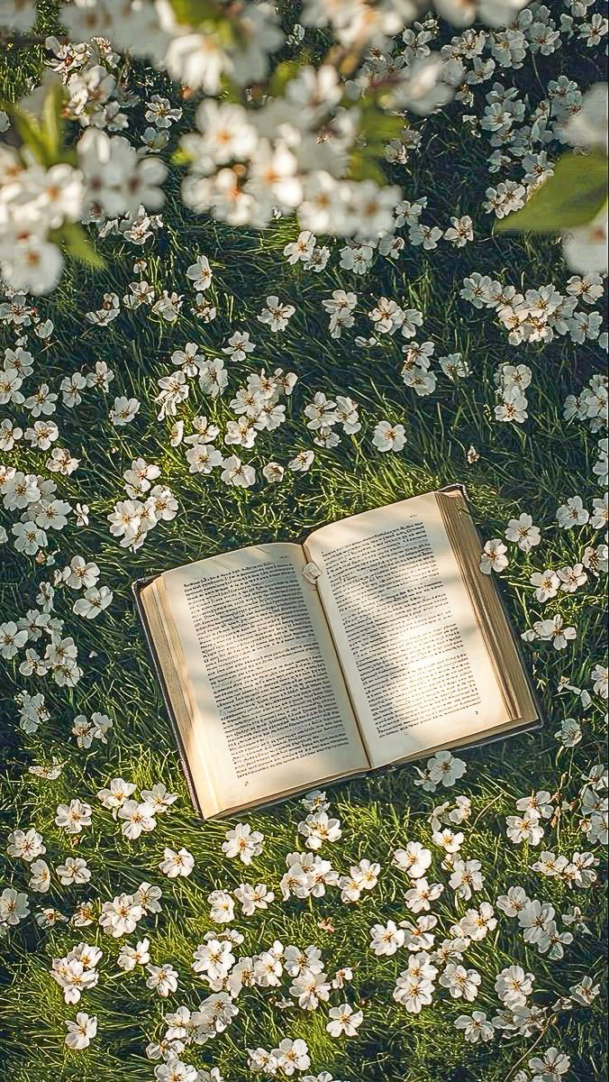 e' (@sanirimdeliii) on Twitter photo 