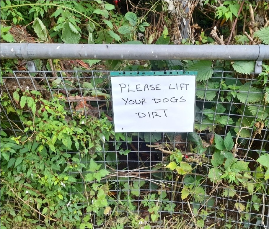 birdcampics's tweet image. Oban, Scotland 
#TuttingTypography #PMJWeeklyChallenge 
@pmj_photos