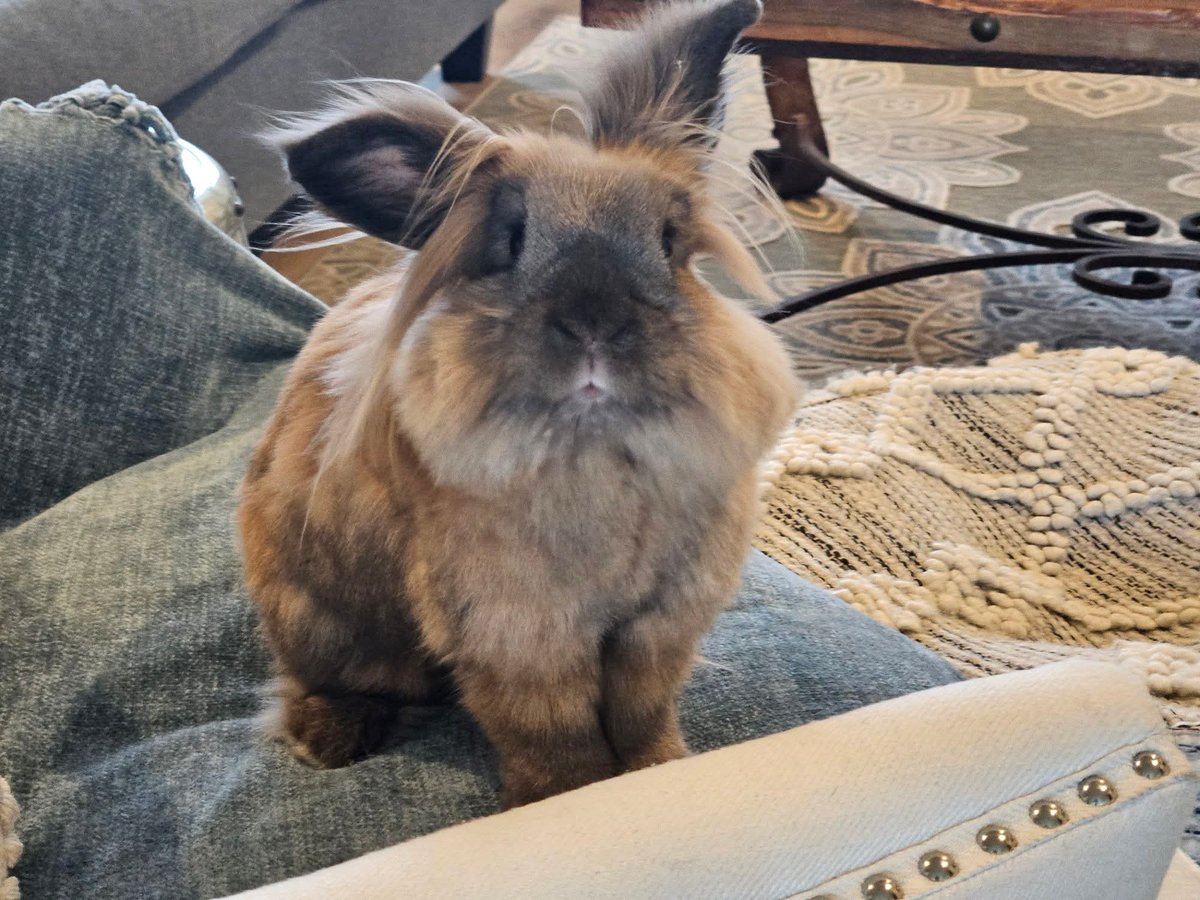 Tranquility Trail tweet media