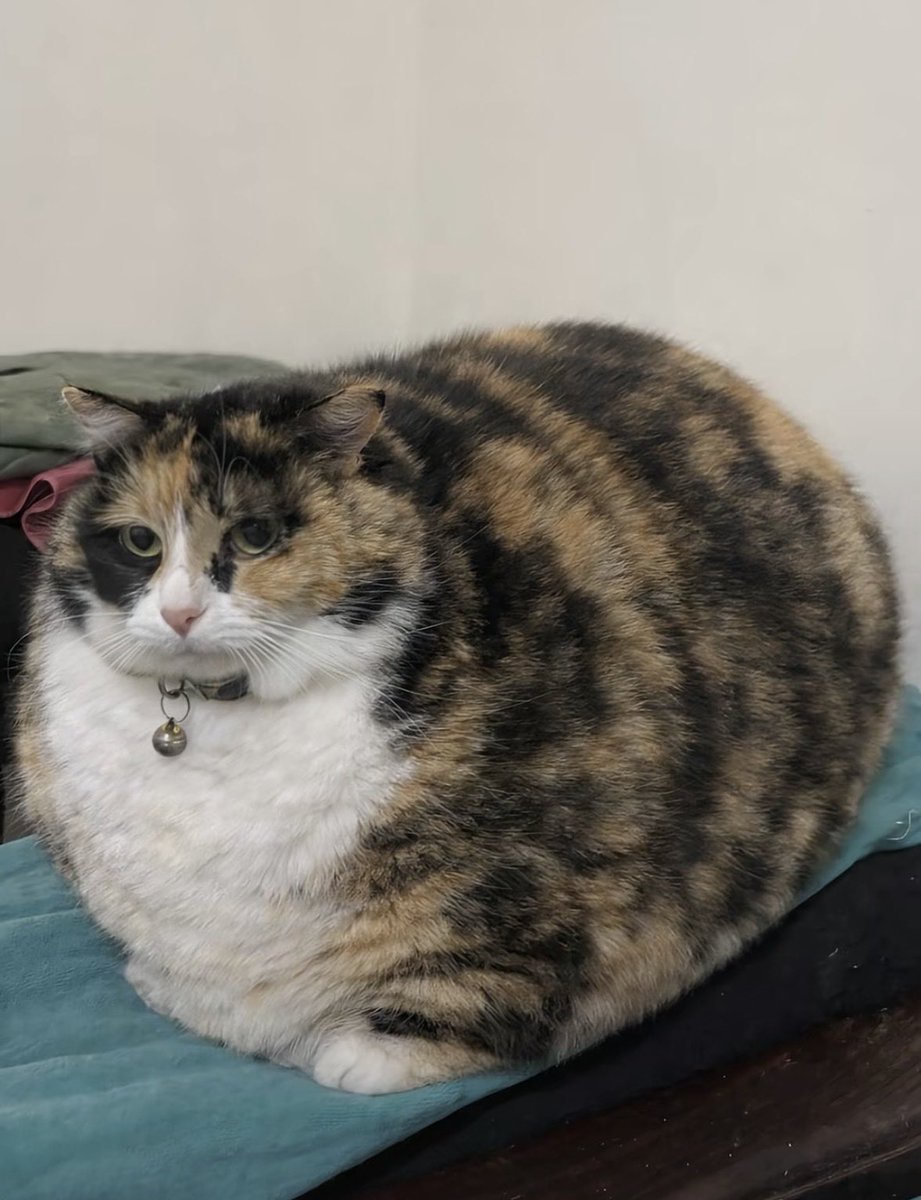 en cok da senin gunun kutlu olsun