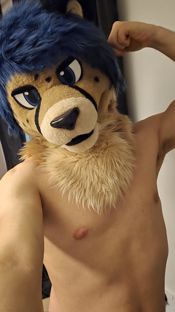 Acey 🐾 tweet media