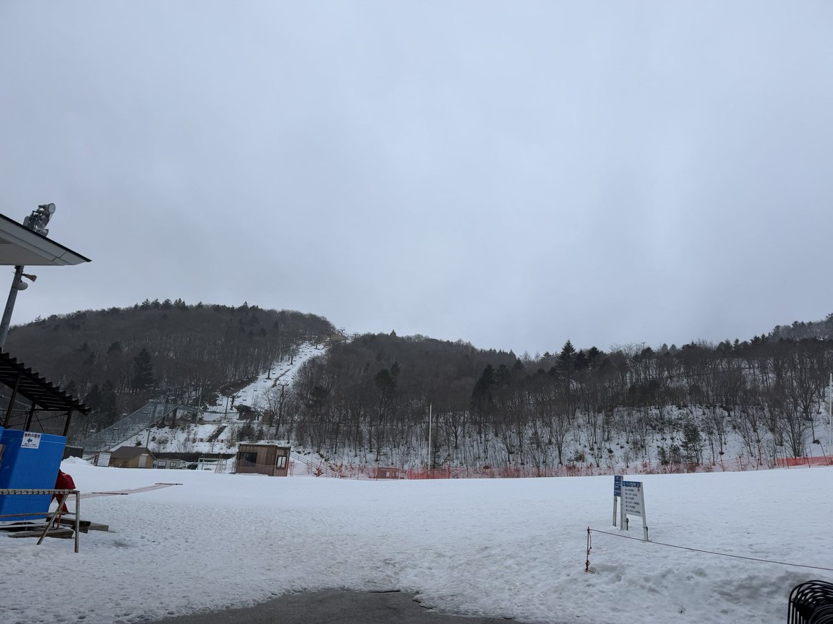 Shota (@shota5m) / Posts / X