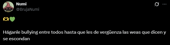 soy una pala tweet media
