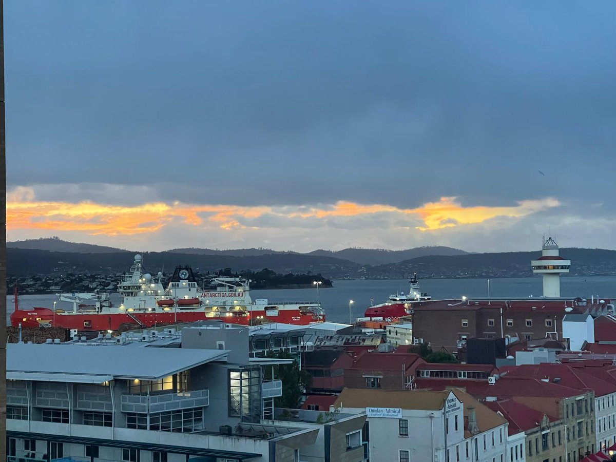 German Embassy AUS tweet media