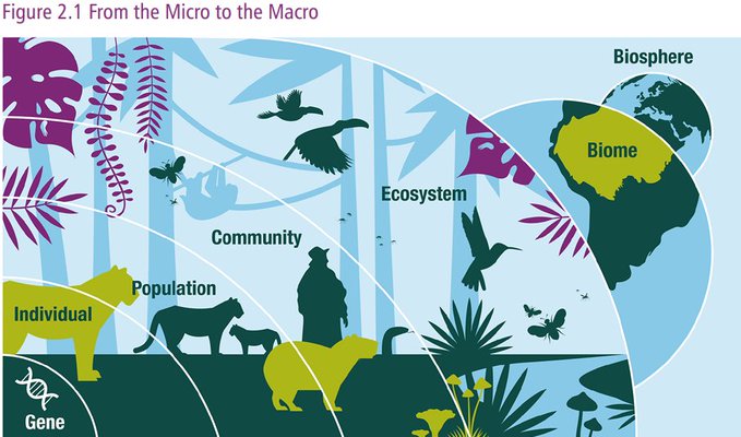 Digital Master Channel tweet media