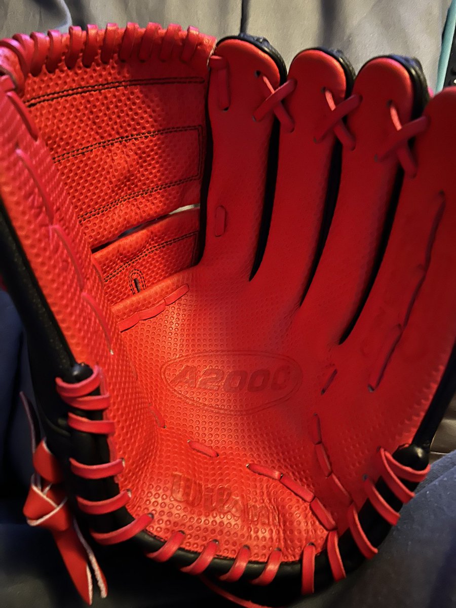 Payton Cook tweet media