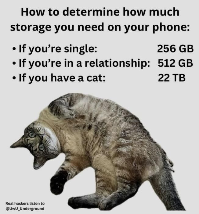 sudox.bsky - sudox.defcon.social (@kmcnam1) on Twitter photo 