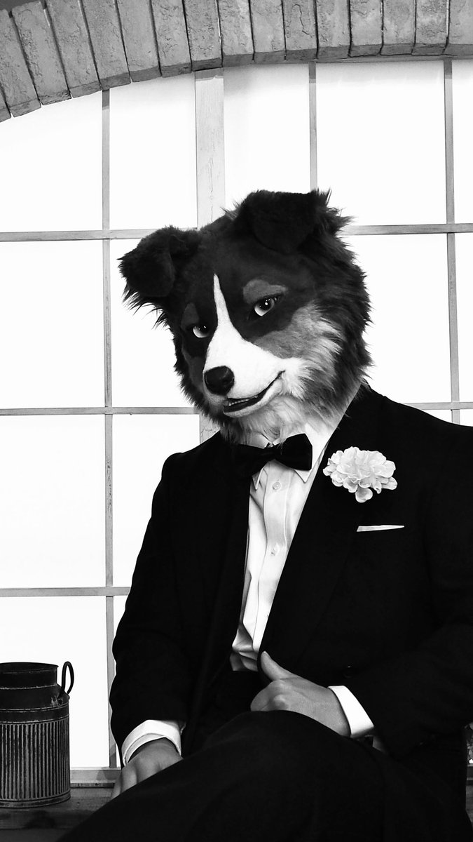 Back to those days🕰

Photo by (<a href="/yultuku/">ユック</a> )

#shippocrafts 
#FursuitEveryday 
#Bill_CurtisMemory