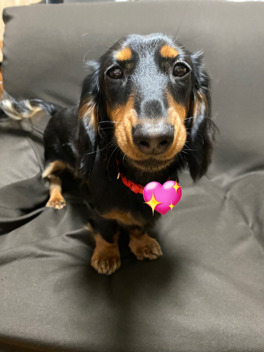 こちび@低浮上 tweet media