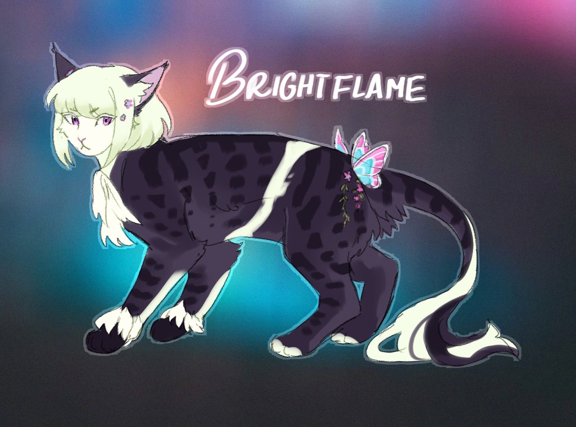 Brivi 🪽 tweet media