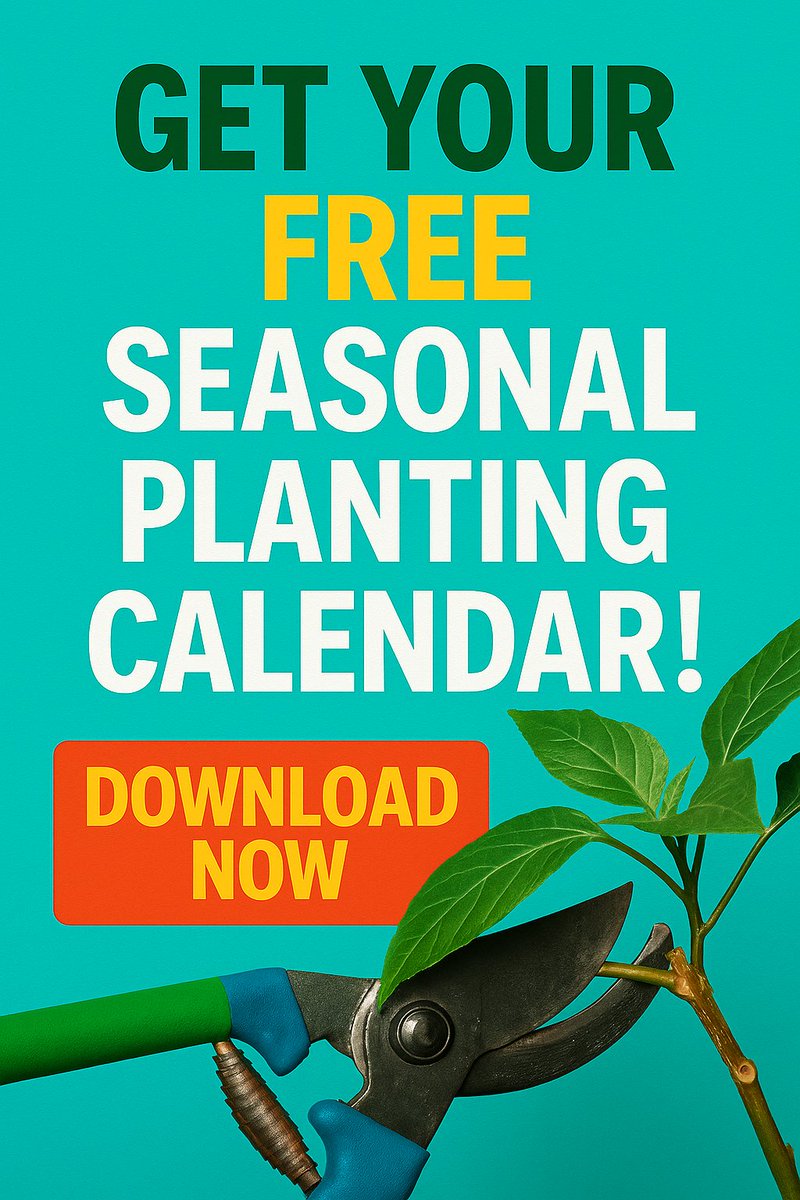 Plant with confidence this year. Download your free Seasonal Planting Calendar and know exactly when to plant for the best harvests every season.

…alplantingcalendar-h9f.plannerpack.co

#SeasonalPlanting #GardenTips #VegetableGarden #GardenPlanner #BackyardGardening #GrowYourOwnFood