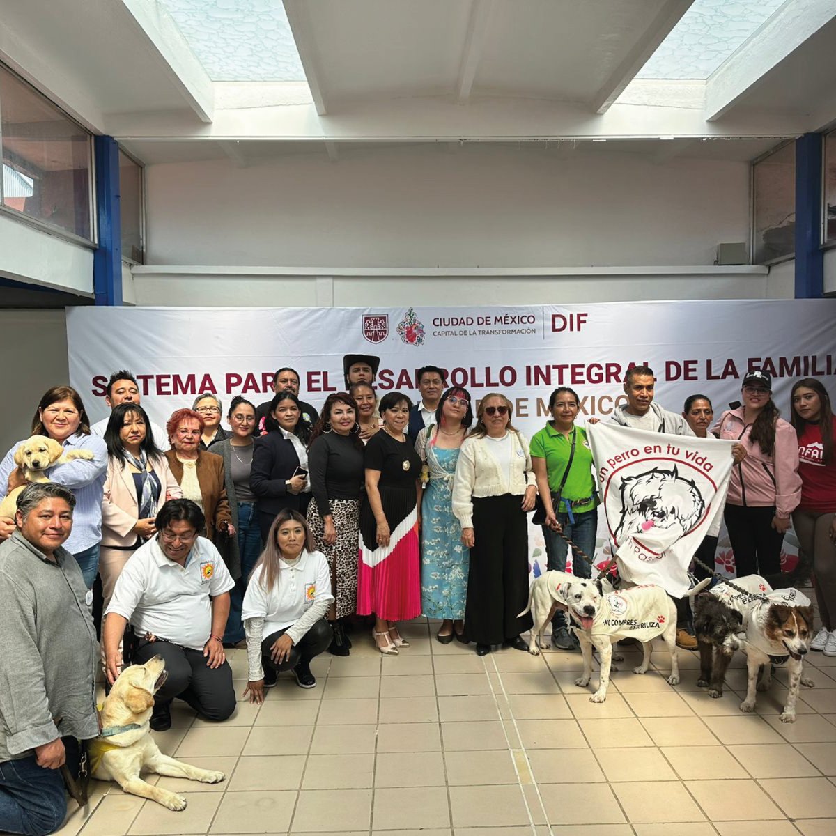 AMANC México tweet media