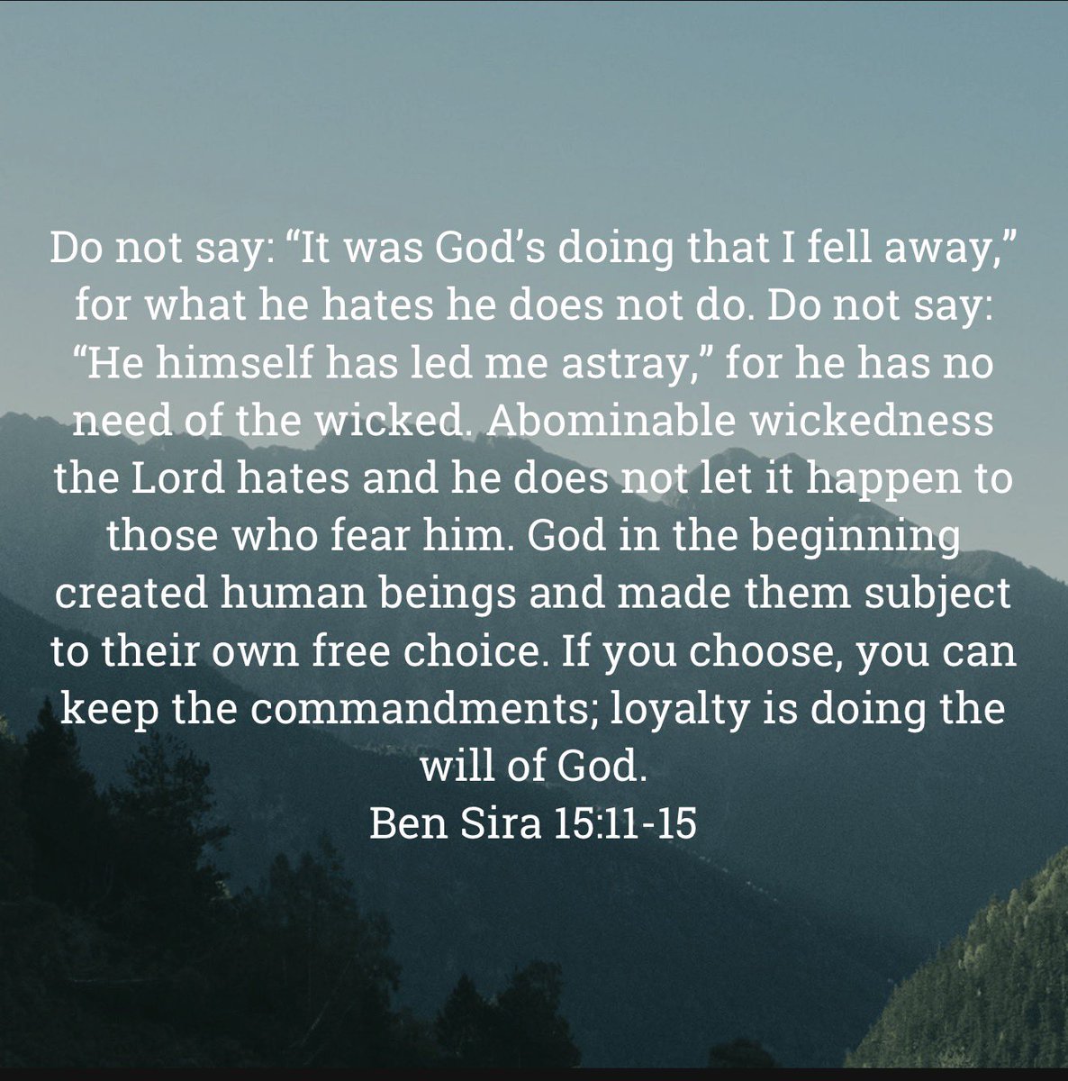 Boston Matt tweet media