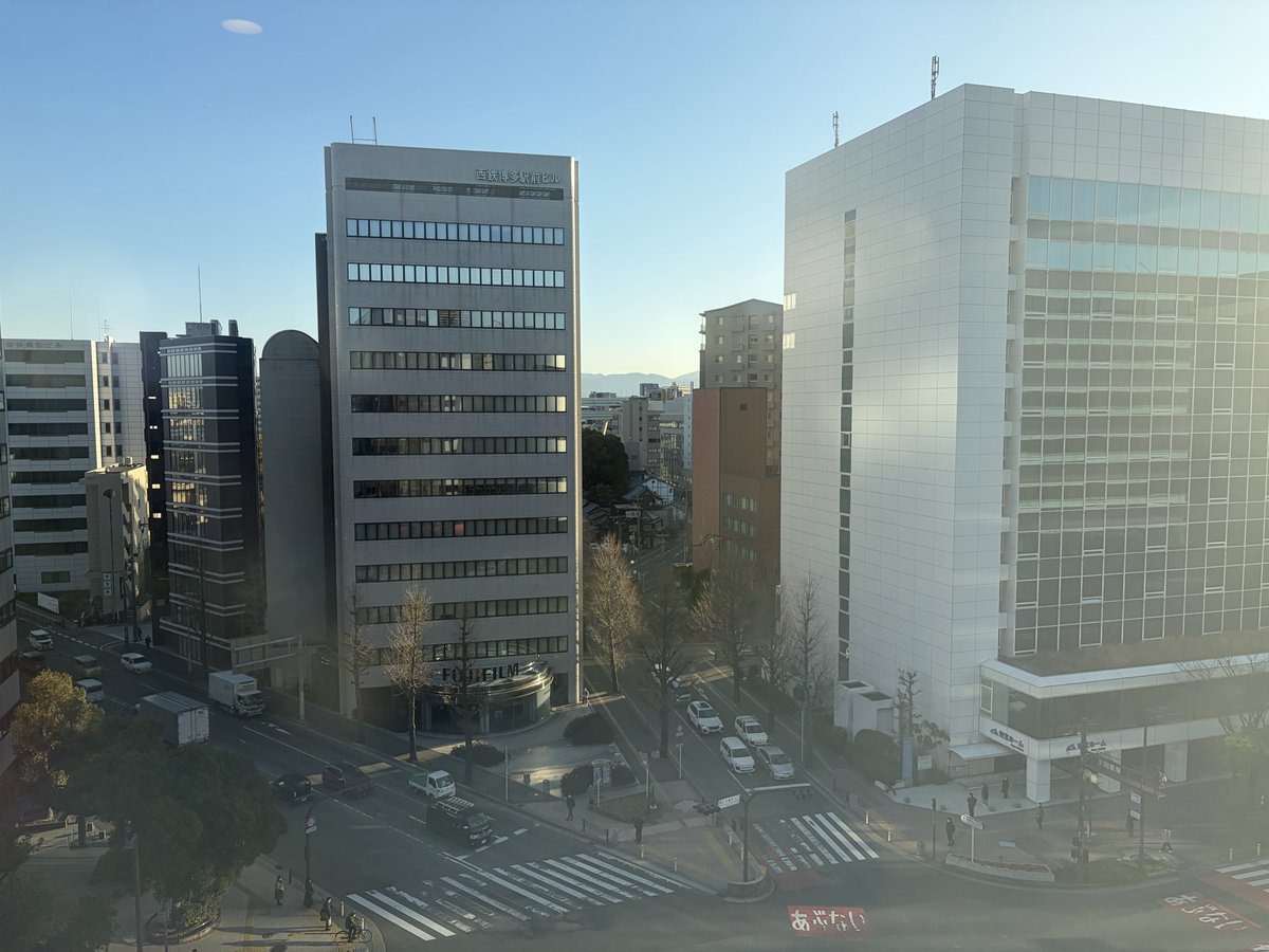 몽환/夢幻 tweet media