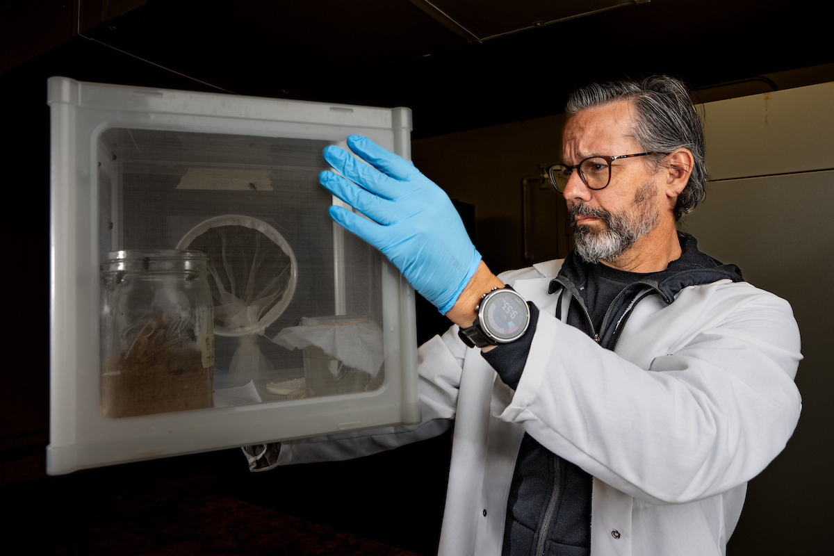 Texas A&M AgriLife Research tweet media